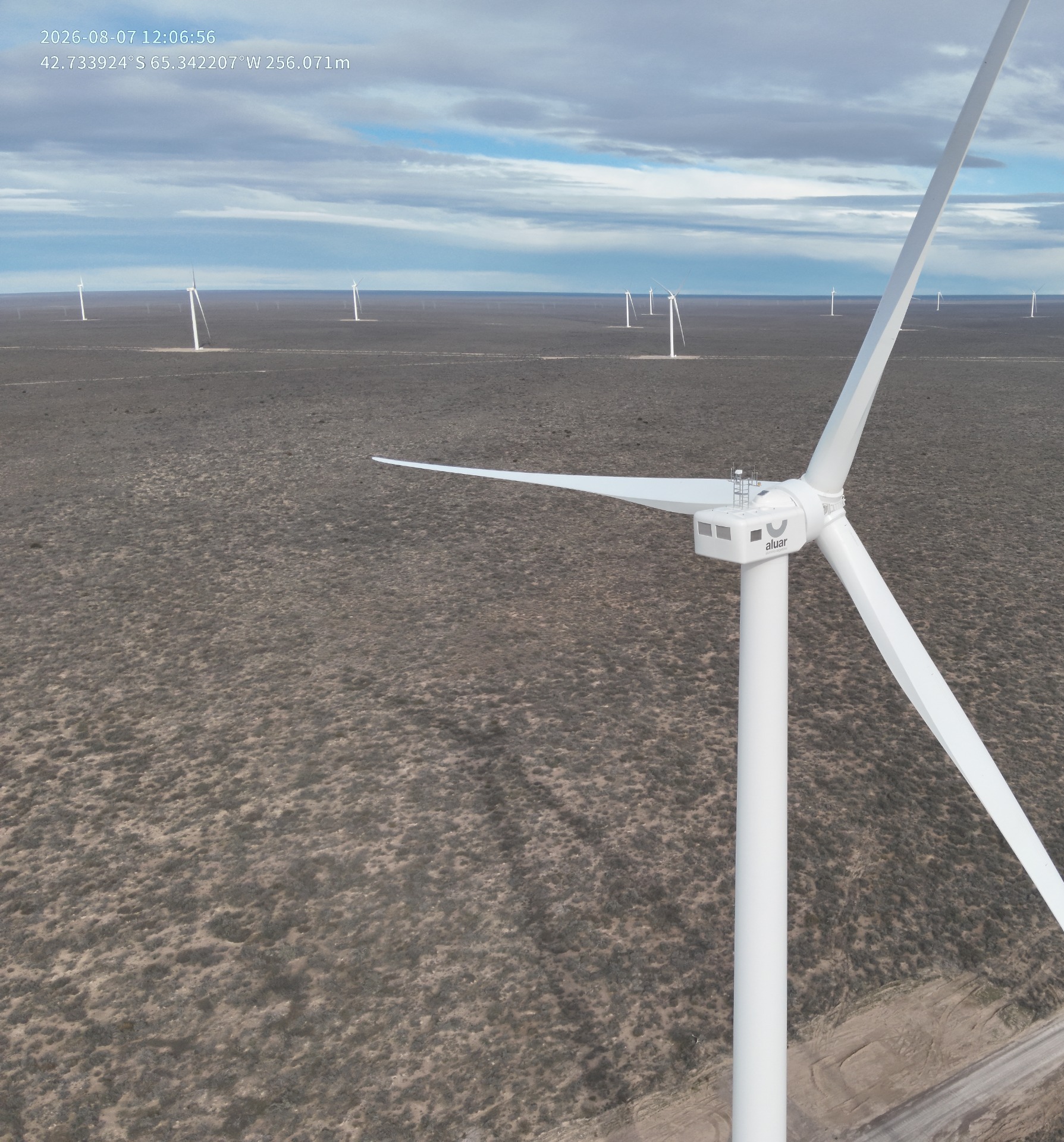 Aerogenerador en parque eólico patagónico