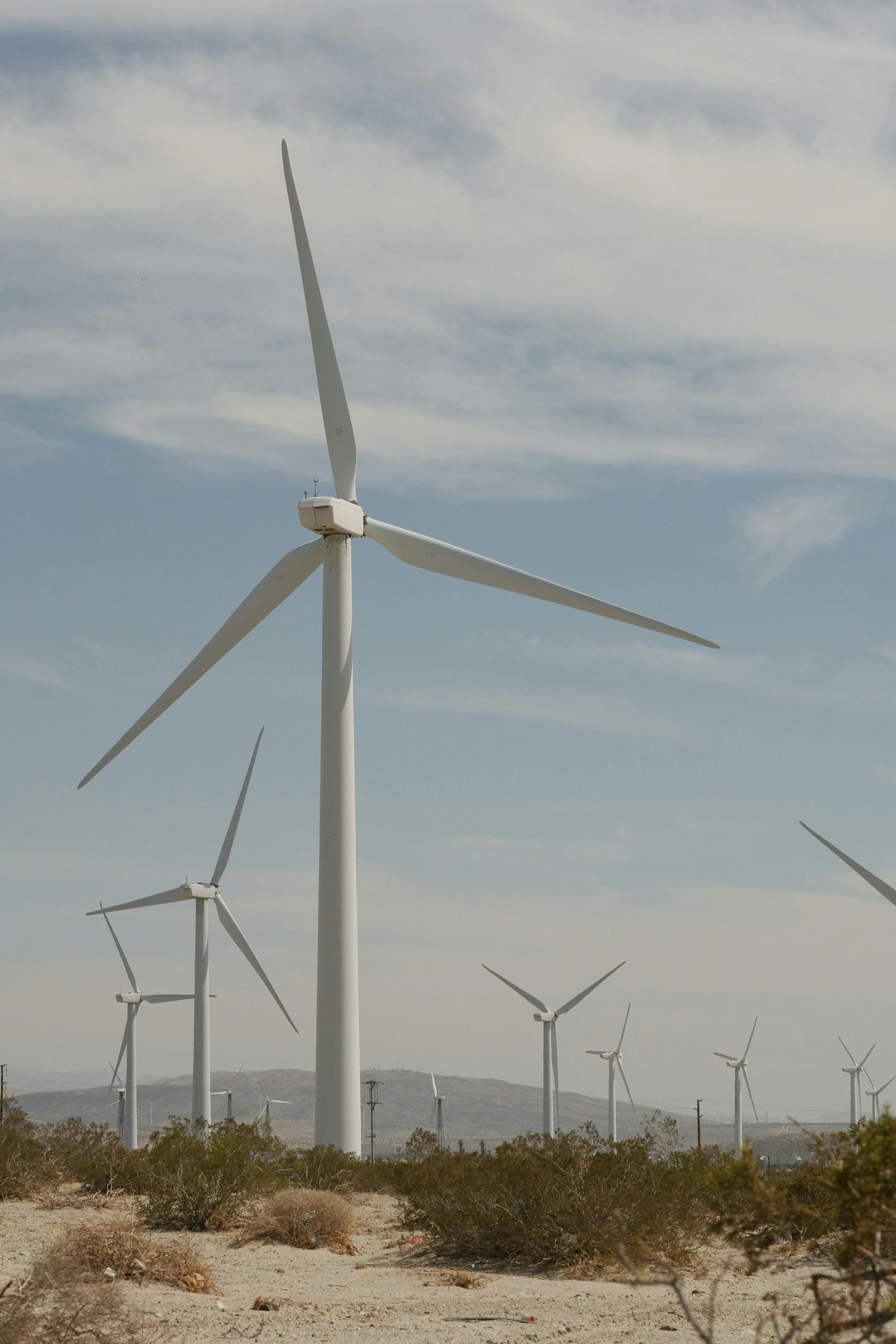 Estudio de Impacto Ambiental